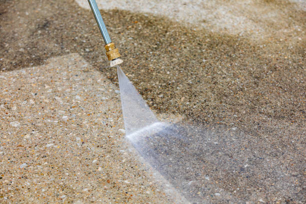 Best Sidewalk and Walkway Cleaning  in Pepeekeo, HI