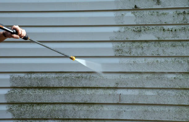 Best Post-Construction Pressure Washing  in Pepeekeo, HI