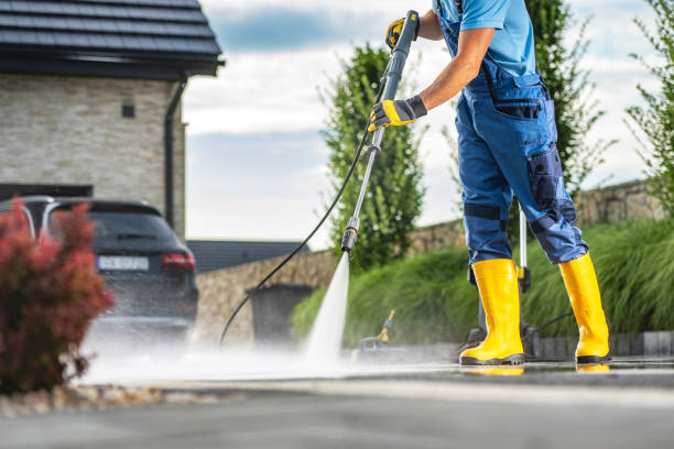 Best Building Exterior Washing  in Pepeekeo, HI